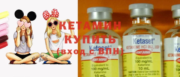 амф Снежногорск