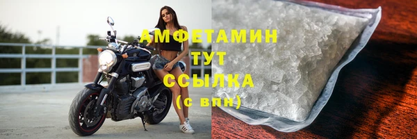 амф Вяземский