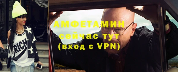 амф Вяземский