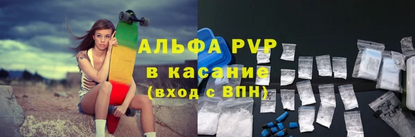 амф Вяземский