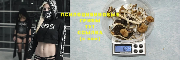 амф Вяземский