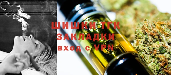 амф Вяземский