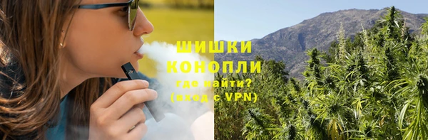 спиды Горняк